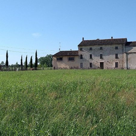 B&B Castel Goffredo San P 3 외부 사진