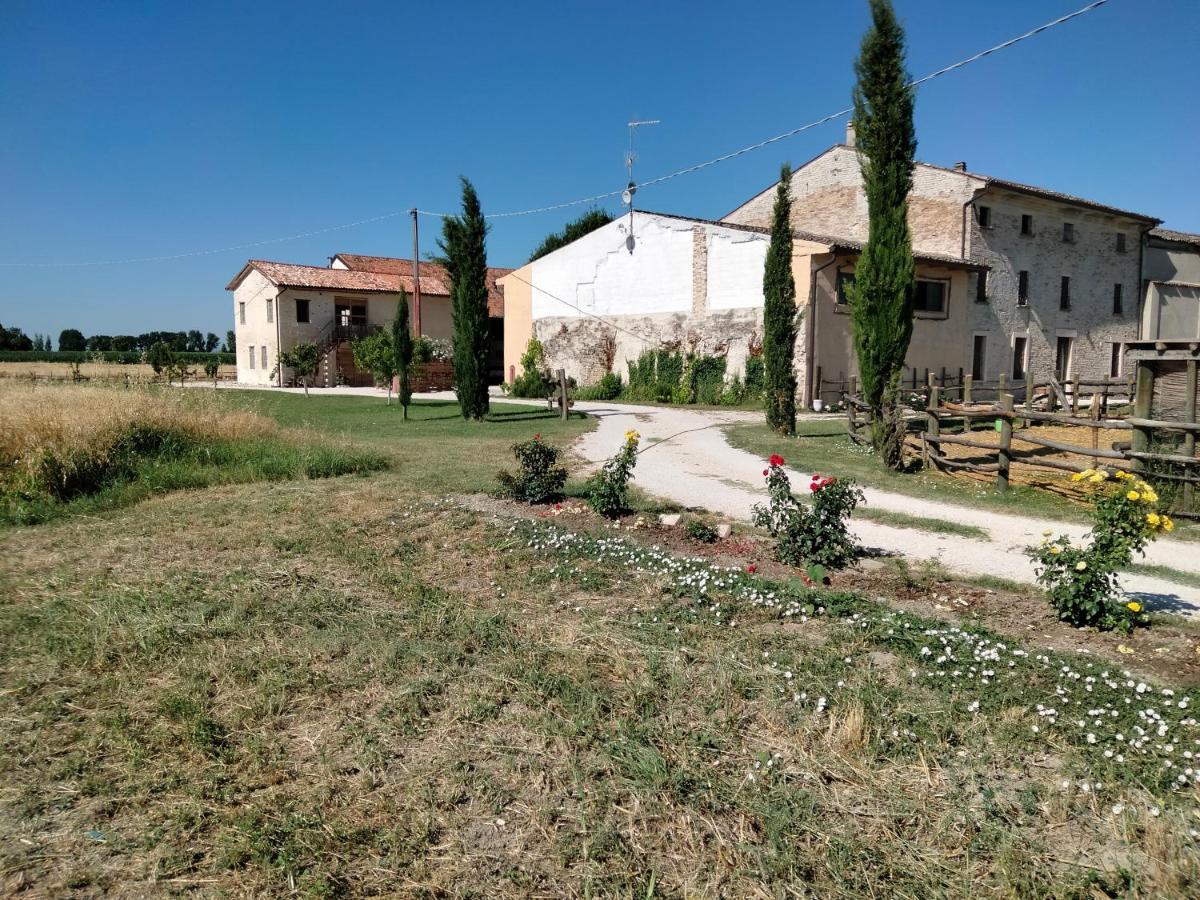B&B Castel Goffredo San P 3 외부 사진