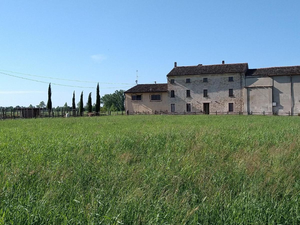B&B Castel Goffredo San P 3 외부 사진