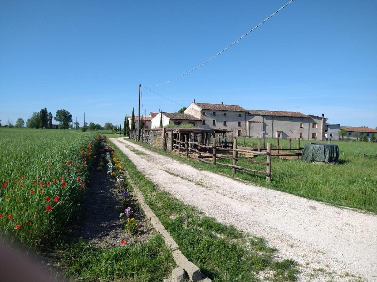 B&B Castel Goffredo San P 3 외부 사진