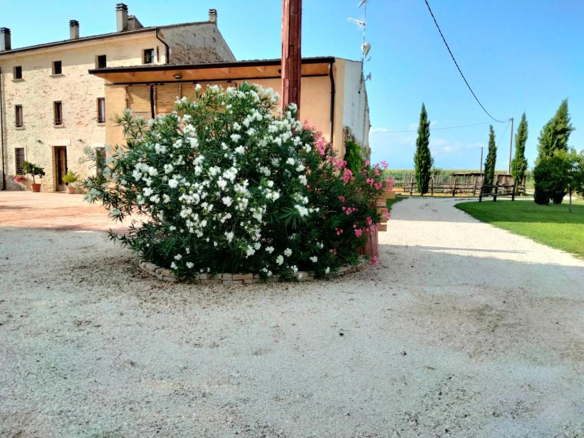 B&B Castel Goffredo San P 3 외부 사진