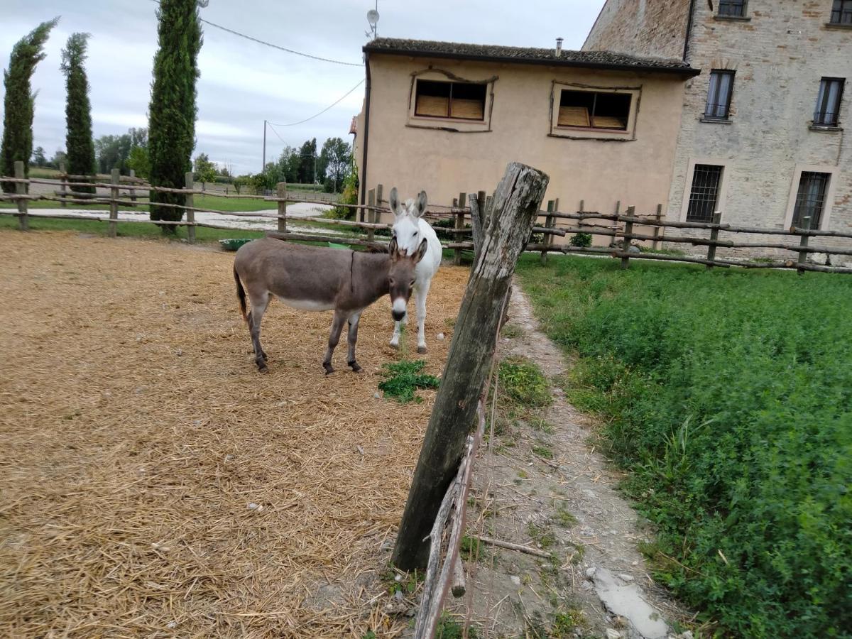 B&B Castel Goffredo San P 3 외부 사진